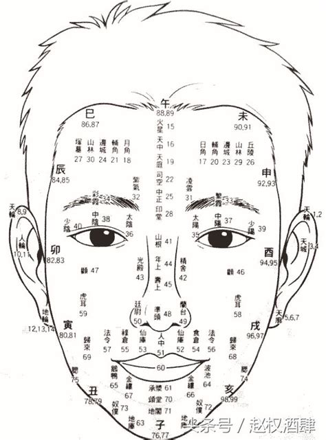 面相 年紀|【面相年齡】用面相預測你的年齡好運期！從九執流年法看人生轉。